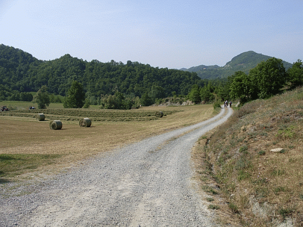 Passaggio tra i prati