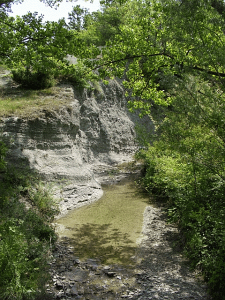 Il Rio Torbo