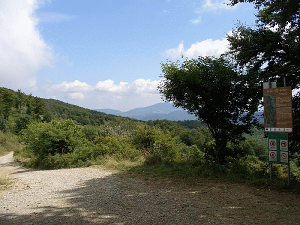 Il Colle della Seppa (mt. 1481)