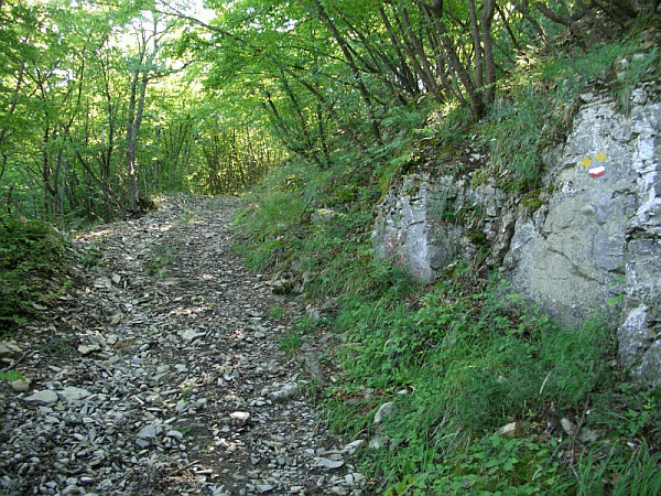 Il primo tratto del percorso