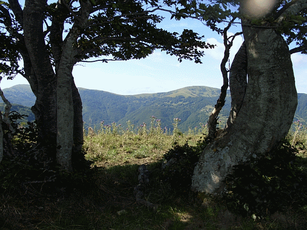 Panorama dalla vetta del Carmo