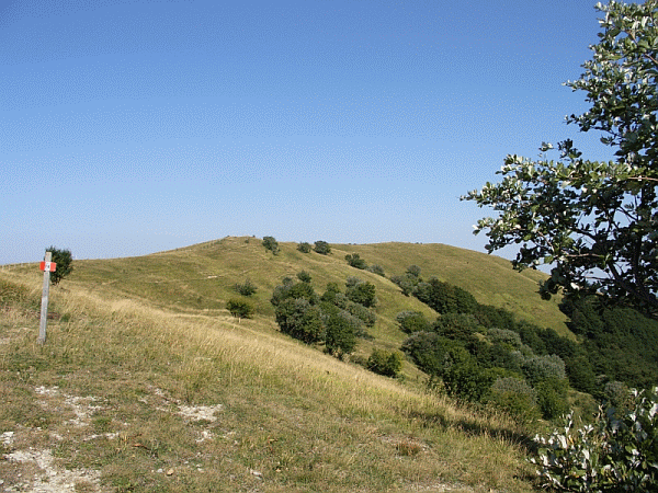I prati sommitali