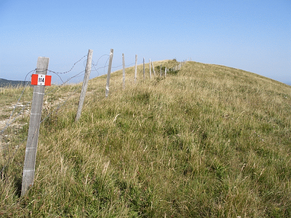 Arrivo al Monte Panà (mt. 1562)