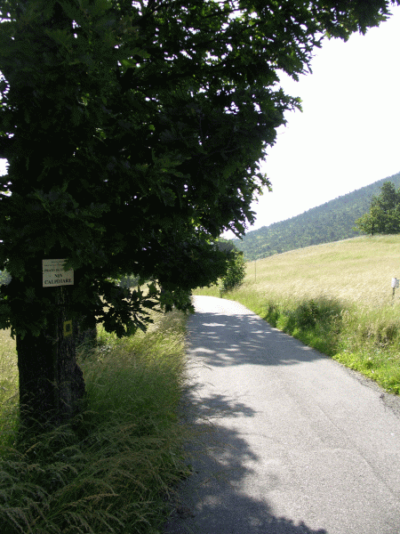 La strada verso Capanne Superiori