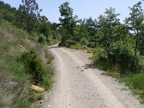 La carrareccia verso la cascina Porassa