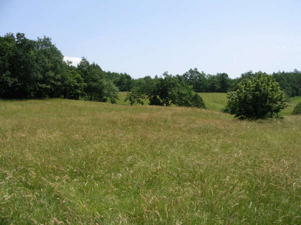 Panorama nei pressi della cascina Menta
