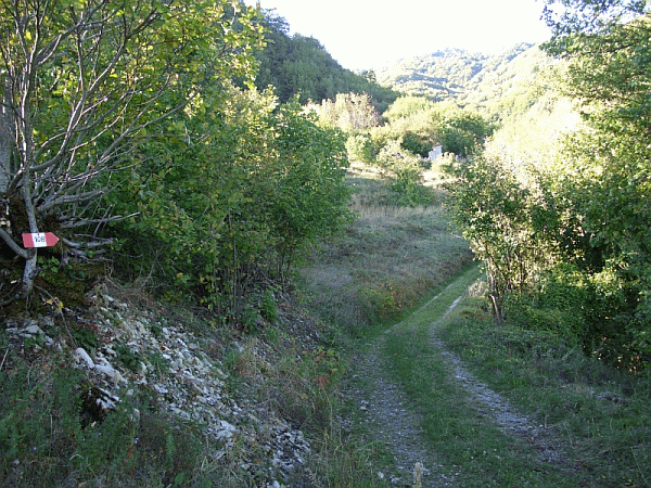 La carrareccia nei pressi del Rio Maestro