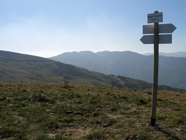 Panorama dal Monte Prenardo (mt. 1654)