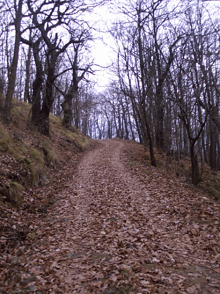 L’antica carrareccia