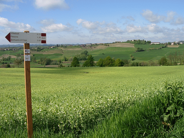 Paesaggio primaverile