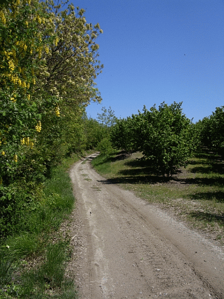 Tratto sul crinale
