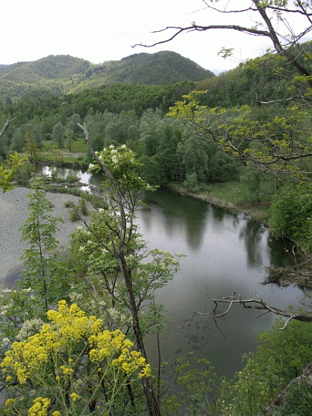 Scorcio del lago di Ortiglieto