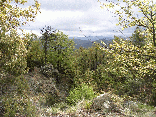I colori della primavera
