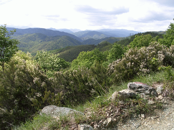 Paesaggio primaverile