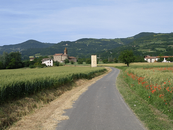 I campi coltivati