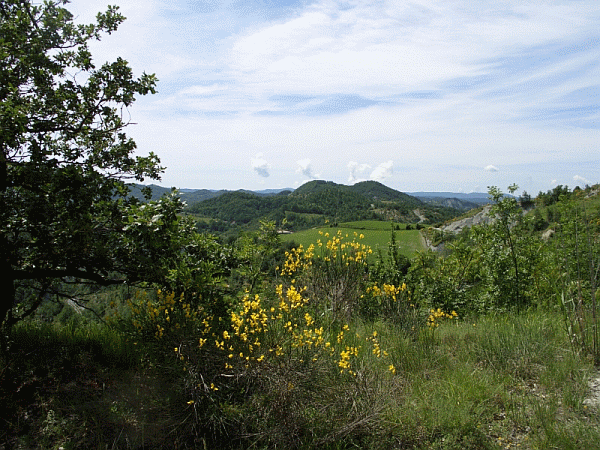 Panorama dal sentiero