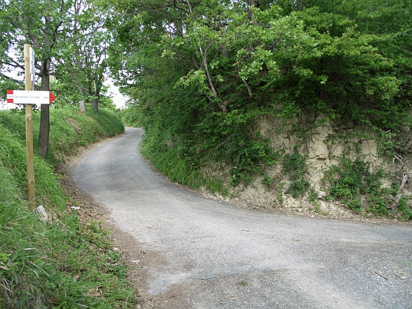 L’inizio del percorso
