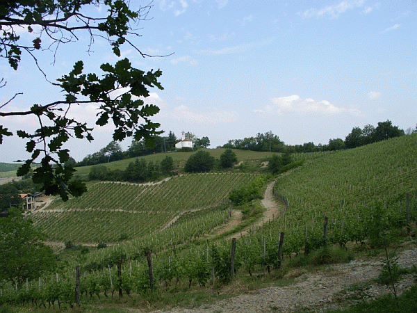 Panorama dal sentiero