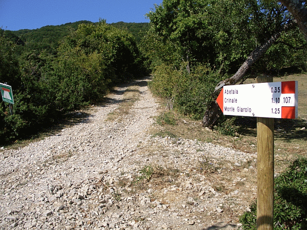 La carrareccia