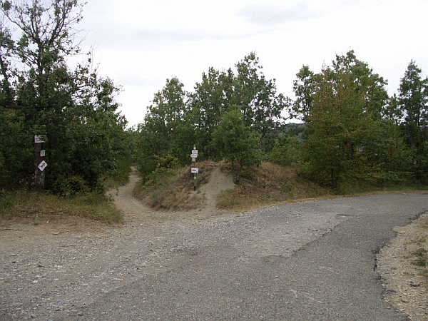 Il bivio di Poggio Castagnola (mt. 730)