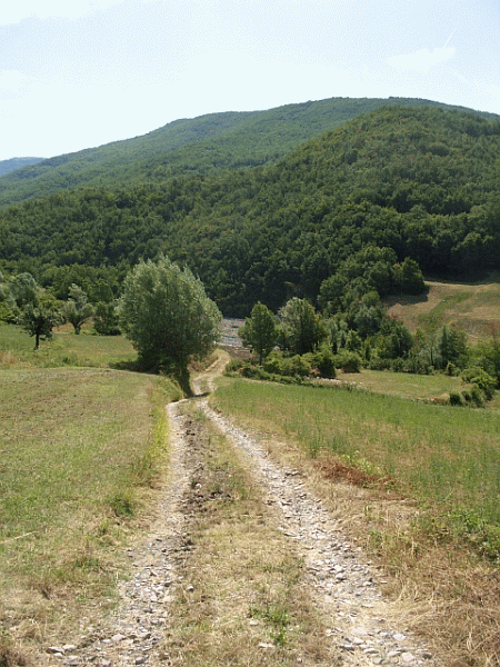 Un tratto del percorso