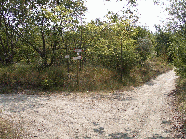 Il bivio per il Monte Trassa (mt. 517)
