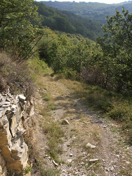 Un tratto del percorso