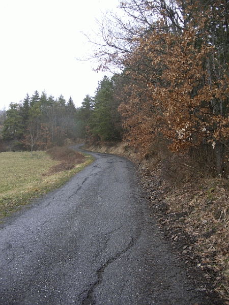 La salita sopra al paese di Albera