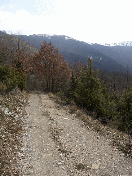 Un tratto del percorso
