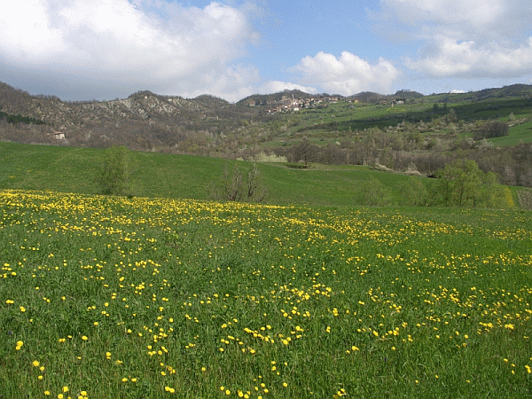 Paesaggio primaverile