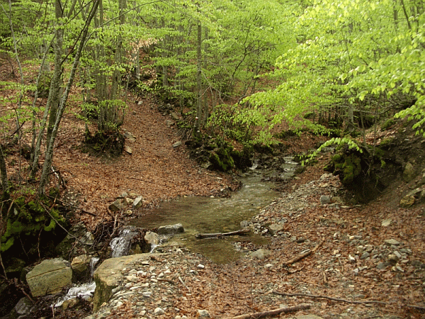 Il guado sul Rio del Lago