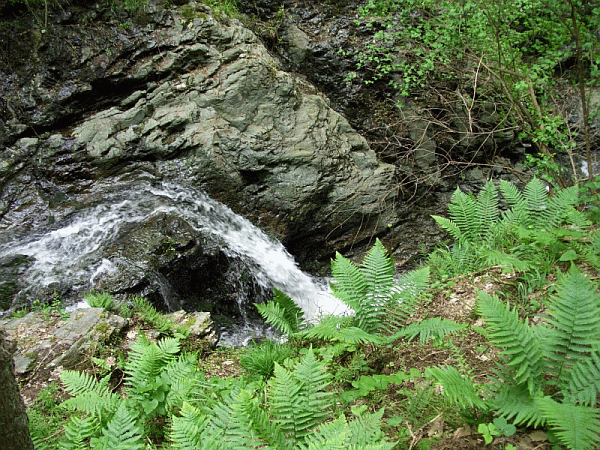 Le acque del Rio Creuz
