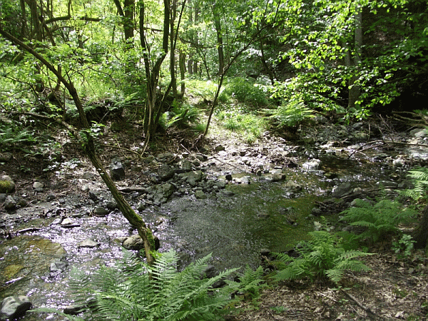 Il Rio Creuz
