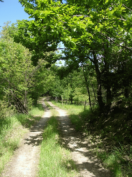 La carrareccia