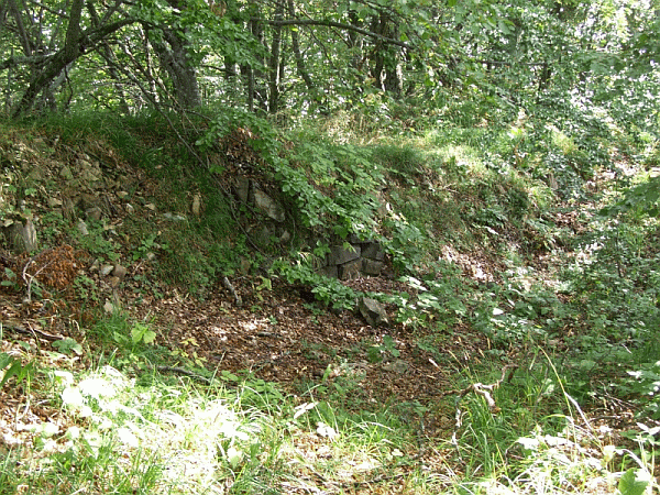 I ruderi del castello di Bruciamonica