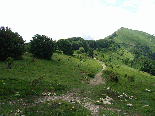 Verso il Monte Carmo
