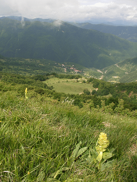 Veduta di Carrega Ligure