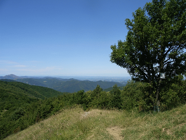 Bric delle Camere (m 1014)
