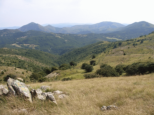Panorama dalla vetta