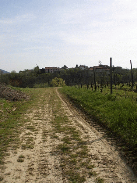 Verso C&agrave; Barbieri