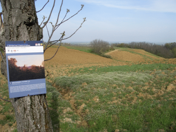 Panorama dal sentiero