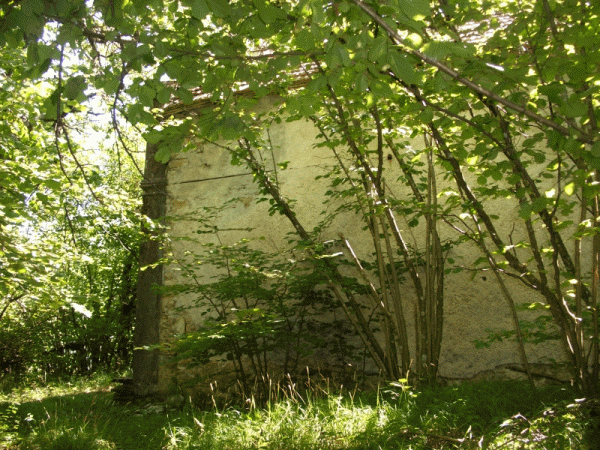 La chiesetta nel bosco