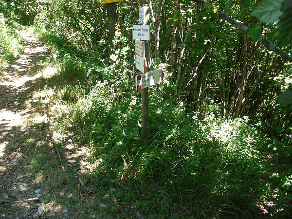 Il bivio con il sentiero 200 (m 931)