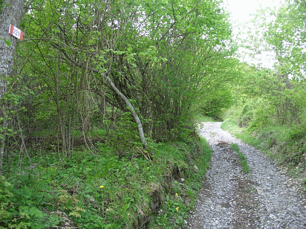 La carrareccia