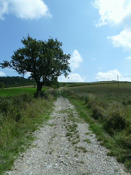 Un tratto del percorso