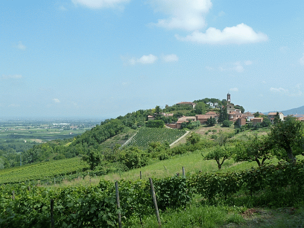 Veduta di Monleale Alto