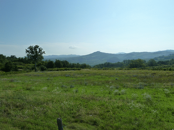 Panorama verso il Poggio di Volpedo