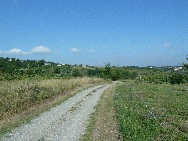 Verso la Cascina Madrina