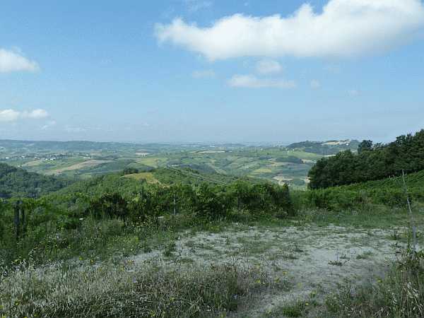 I colli tortonesi