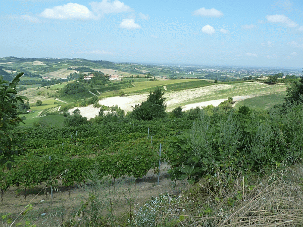 Panorama dal sentiero